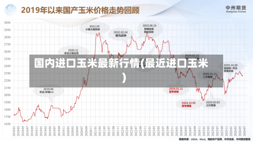 国内进口玉米最新行情(最近进口玉米)