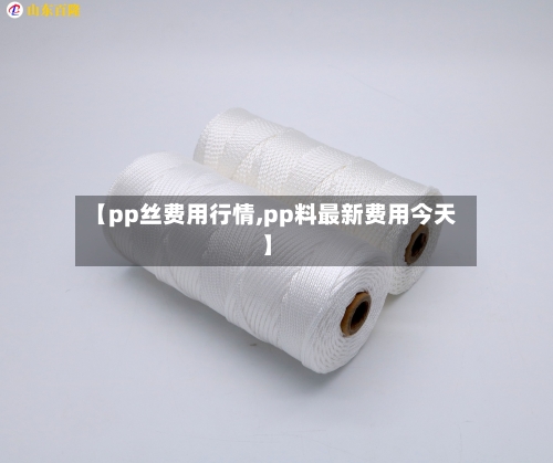 【pp丝费用行情,pp料最新费用今天】
