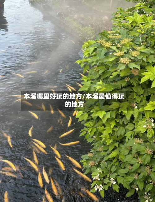 本溪哪里好玩的地方/本溪最值得玩的地方-第3张图片