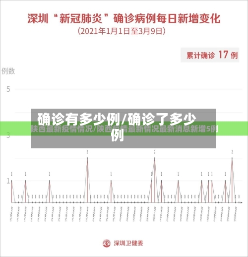 确诊有多少例/确诊了多少例