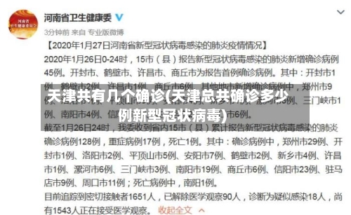 天津共有几个确诊(天津总共确诊多少例新型冠状病毒)-第2张图片