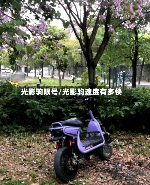 光影驹限号/光影驹速度有多快
