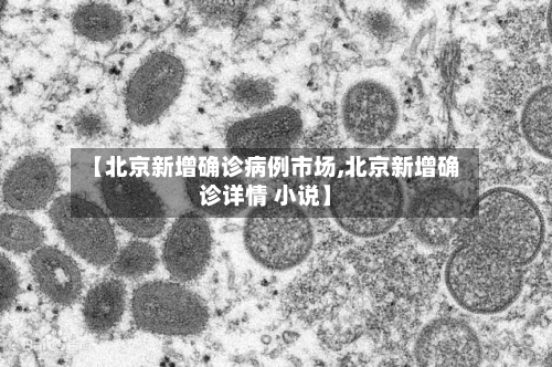 【北京新增确诊病例市场,北京新增确诊详情 小说】-第2张图片