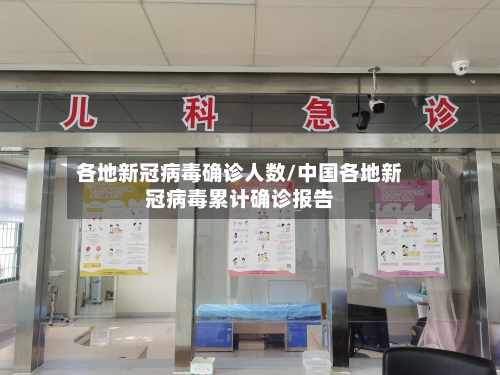 各地新冠病毒确诊人数/中国各地新冠病毒累计确诊报告-第2张图片