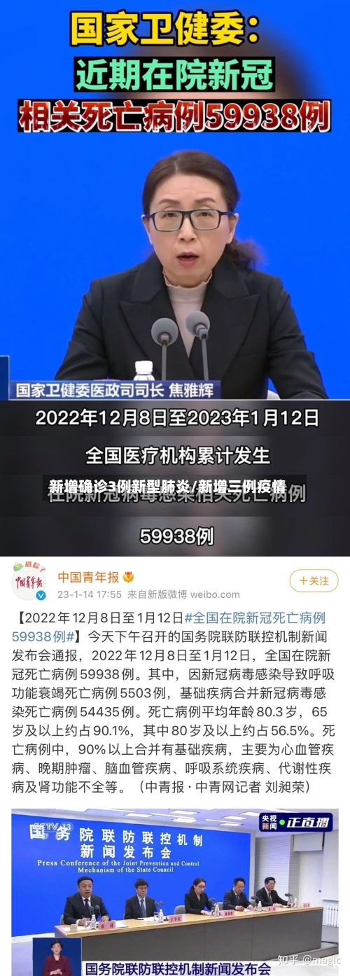 新增确诊3例新型肺炎/新增三例疫情