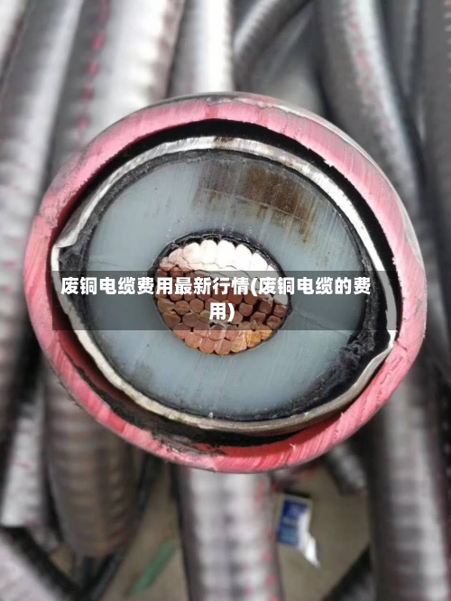 废铜电缆费用最新行情(废铜电缆的费用)