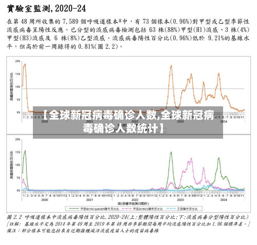 【全球新冠病毒确诊人数,全球新冠病毒确诊人数统计】-第2张图片