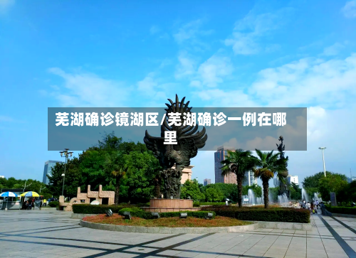 芜湖确诊镜湖区/芜湖确诊一例在哪里