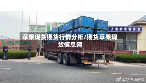 苹果现货期货行情分析/期货苹果现货信息网