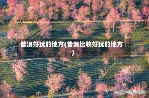 普洱好玩的地方(普洱比较好玩的地方)